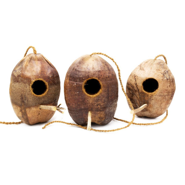 Kokosschale - hängendes Versteck