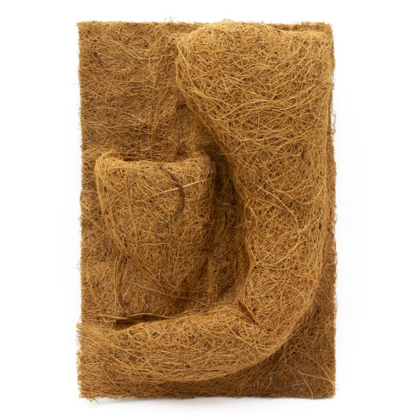Kokosfaserpflanzrückwand mit Taschen