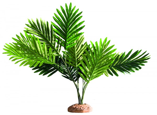 Hobby künstliche Palme 60 x 40 x 55 cm