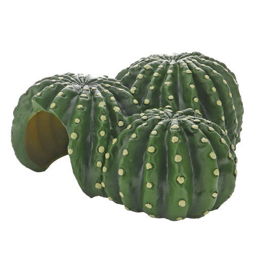 Hobby Cactus Home