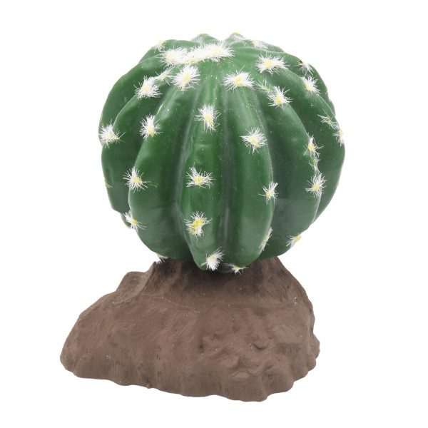 Lucky Reptile Kugelkaktus ca. 13cm