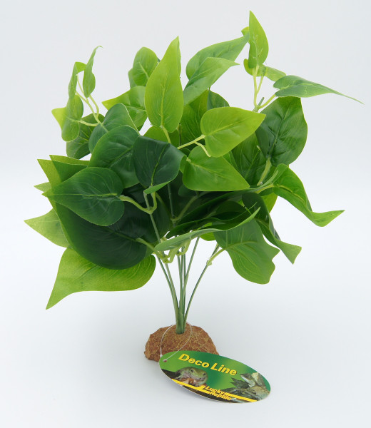 Lucky Reptile Golden Pothos auf Steinsockel, ca. 30 cm