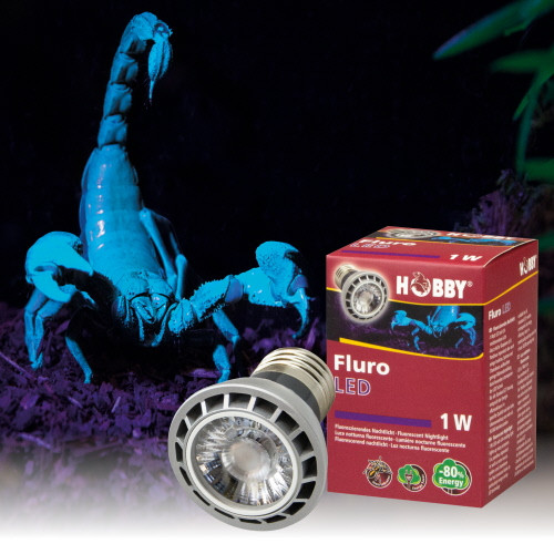 Hobby Fluro LED 1 Watt
